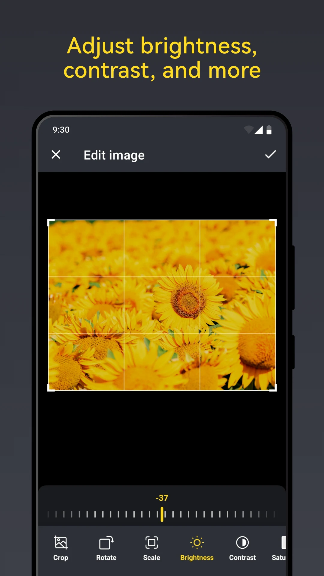 Puma: Photo Resizer Compressor screenshot