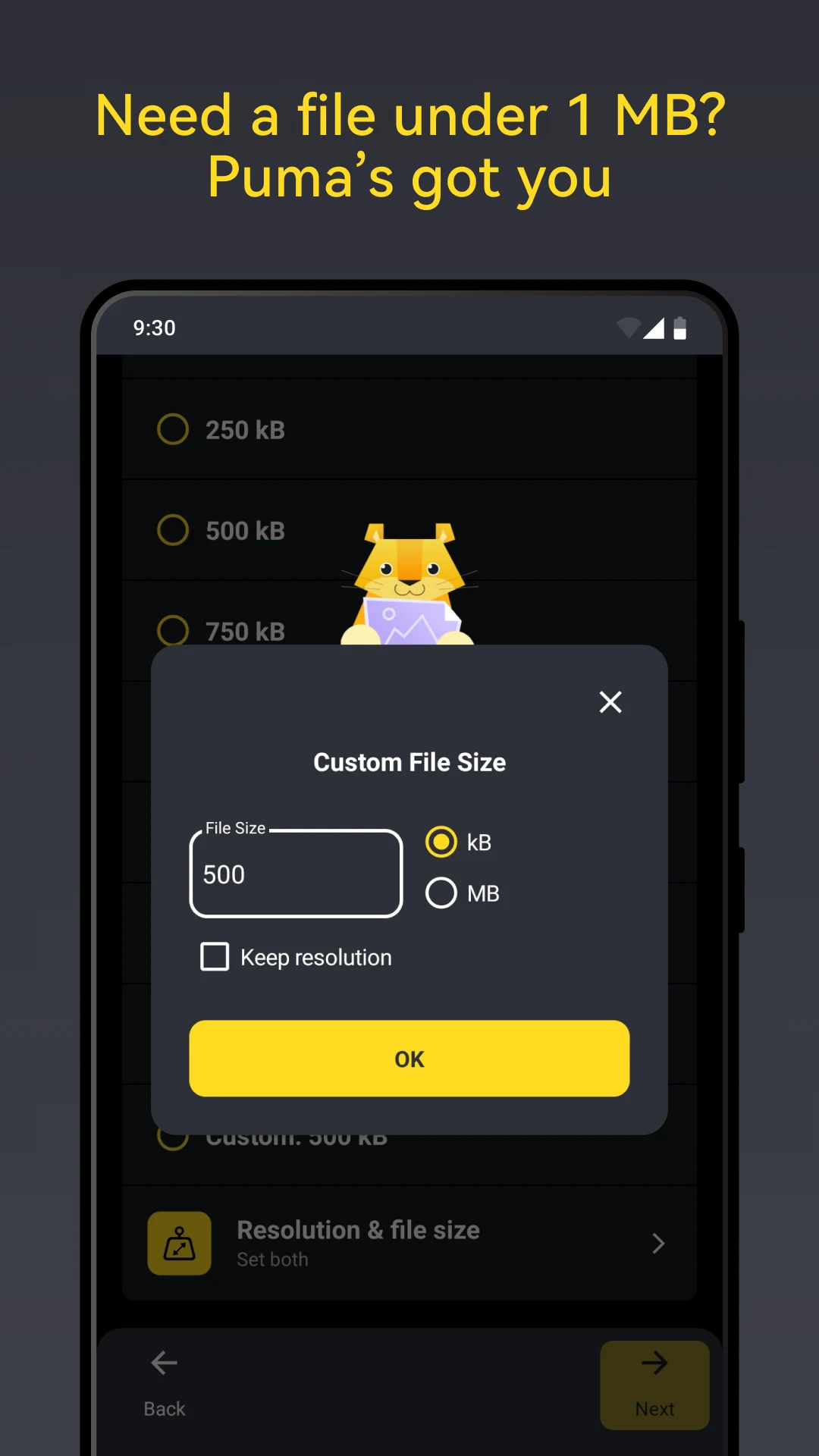 Puma: Photo Resizer Compressor screenshot